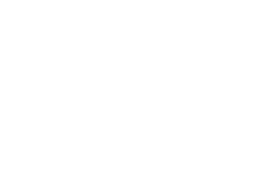 plie